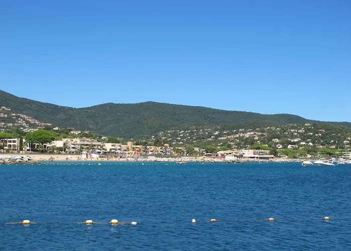 Semaphore-2 By Interhome Daire